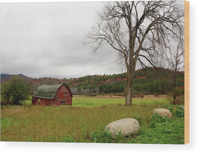 Barn Wood Print featuring the photograph The Old Barn with Tree by Nancy De Flon