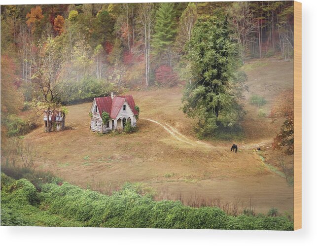 Old Wood Print featuring the photograph The Old Homestead by Lori Deiter