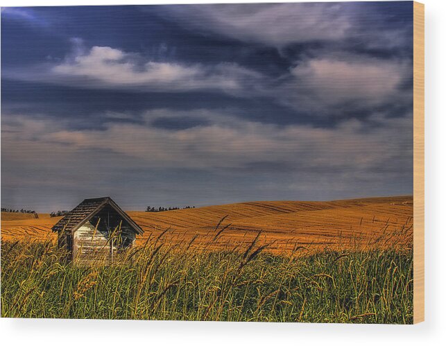 Landscape Wood Print featuring the photograph The Old Pumphouse by David Patterson