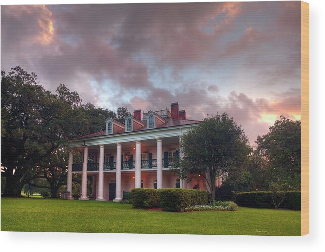 Louisiana Wood Print featuring the photograph The Other Side of Oak Alley by Harriet Feagin