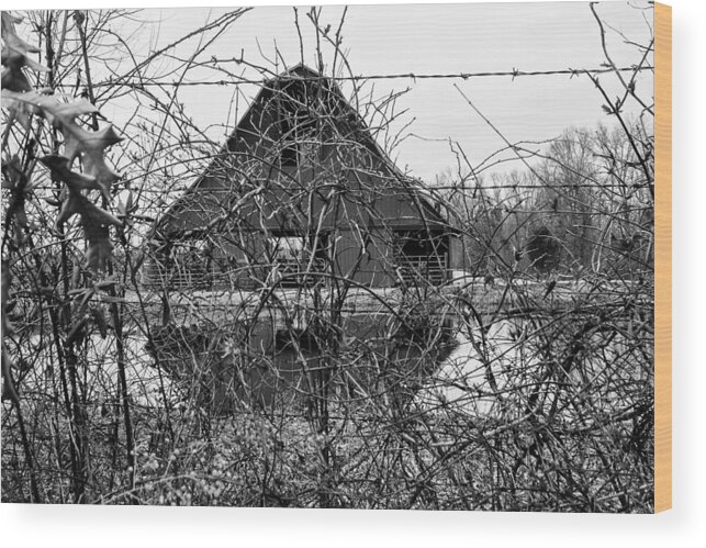 Barn Wood Print featuring the photograph The Other Side of the Fence by Robert Hebert