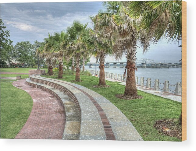 henry C. Chambers Wood Print featuring the photograph The Palms of Water Front Park by Scott Hansen
