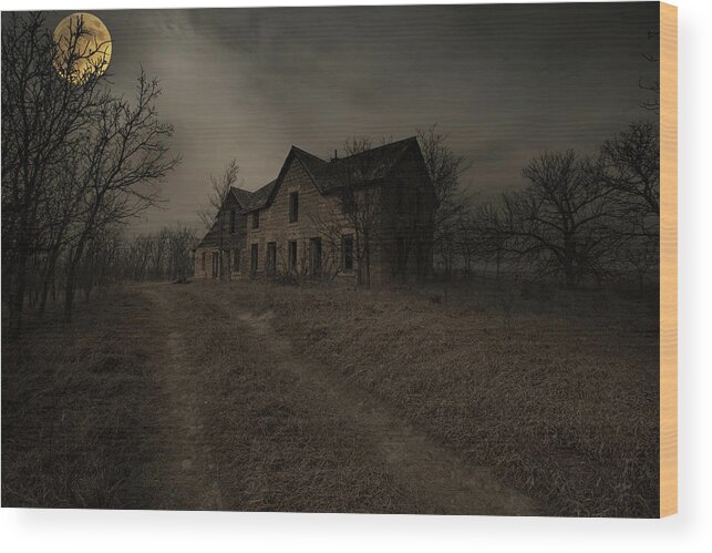 Kansas Wood Print featuring the photograph The Path by Chris Harris