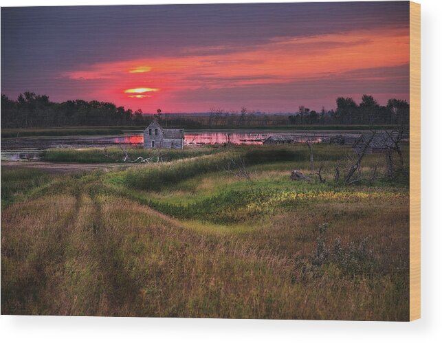 Abandoned Nd Rural Farmstead Homestead Trail Water Devils Lake Flood Landscape Scenic Horizontal Stensby Brinsmade Normania Silver Lake Devils Lake Sunrise Red Wood Print featuring the photograph The Path Home #3 - sunrise by Peter Herman
