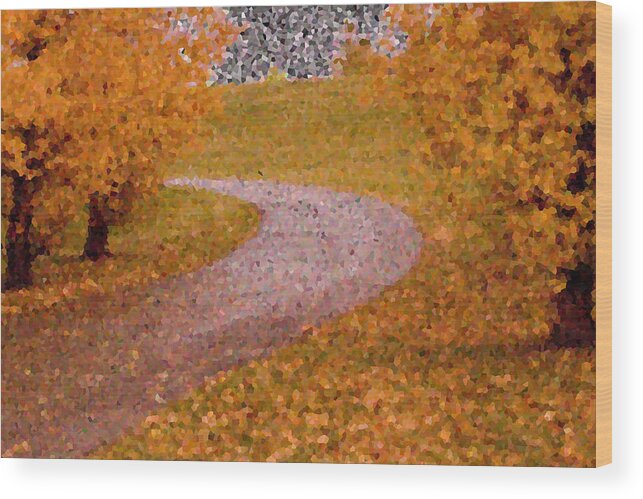 Leaves Wood Print featuring the photograph The Path in Mozaic print by Jana Rosenkranz