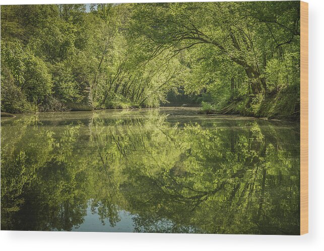 Grayson Lake Wood Print featuring the photograph The Path Less Traveled by Randall Evans