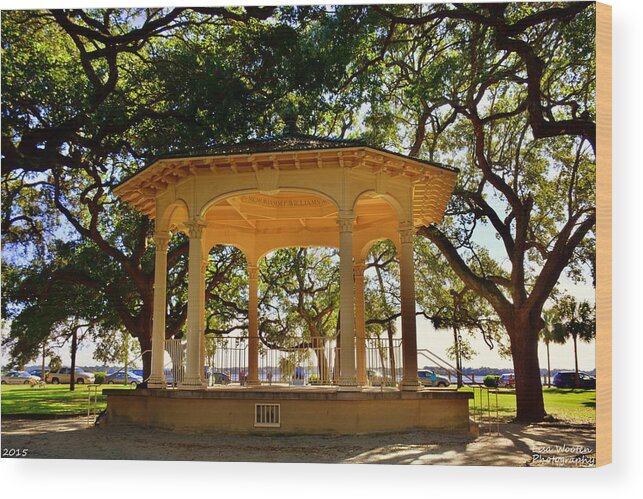 The Pavilion At Battery Park Charleston Sc Wood Print featuring the photograph The Pavilion At Battery Park Charleston SC by Lisa Wooten