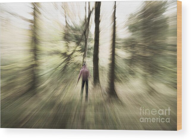 Pines Wood Print featuring the photograph The Pines by Jim Cook
