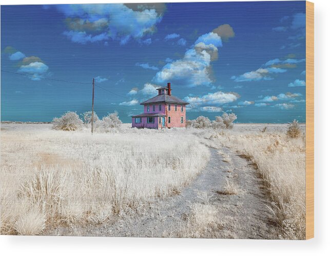 Hale Spectrum Halespectrum Halespectrum2.0 2.0 Clouds Cloudy Bush Bushes Trees Sky Grass Color Infrared Colour Ir Infra Red Outside Outdoors Nature Natural Partial Architecture Brian Hale Brianhalephoto Ma Mass Massachusetts U.s.a. Usa The Pink House Cape Elizabeth Plum Island Double Exposure Iconic Historic Wood Print featuring the photograph The Pink House in HaleSpectrum 2 by Brian Hale
