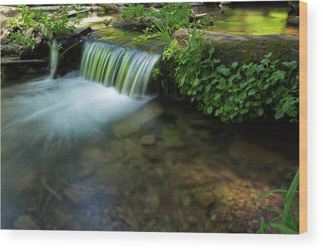 Trees Wood Print featuring the photograph The Poetry of Nature by Sue Cullumber