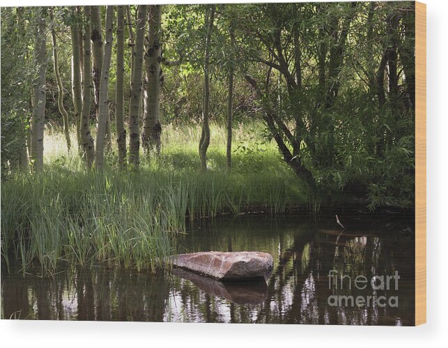 Rock Wood Print featuring the photograph The Pond by Brandon Bonafede