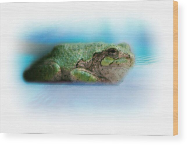 Frog Wood Print featuring the photograph The Pool Frog by Barbara S Nickerson