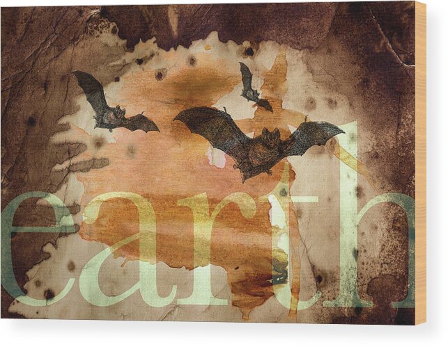 Bats Wood Print featuring the photograph The Potency of Acceptance by Char Szabo-Perricelli