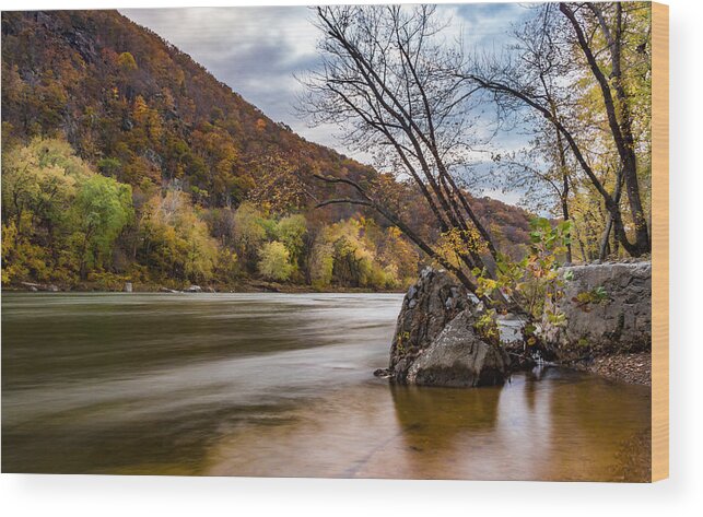 Autumn Wood Print featuring the photograph The Shenandoah in Autumn by Ed Clark