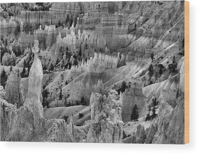 Bryce Canyon Wood Print featuring the photograph The Queen's Garden by Stephen Vecchiotti