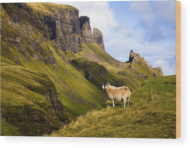 Scotland Wood Print featuring the photograph The Quiraing Isle of Skye by John McKinlay