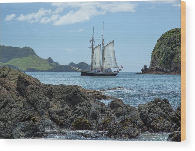 R Tucker Thompson Wood Print featuring the photograph The R Tucker Thompson by Cheryl Strahl