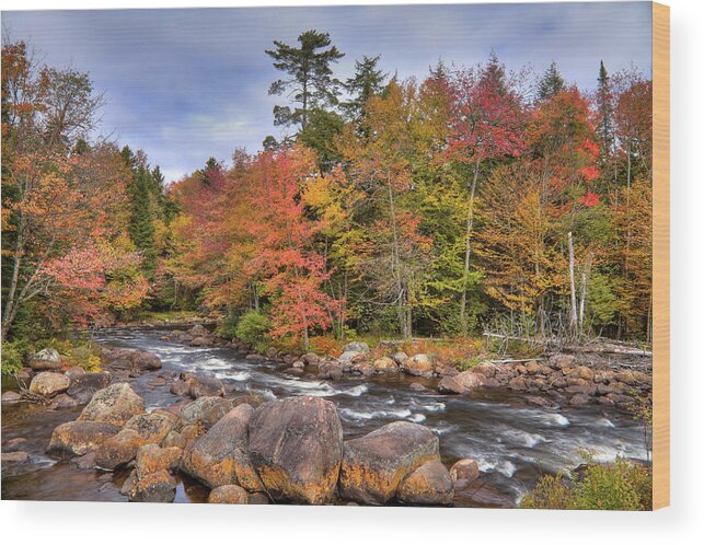 Landscapes Wood Print featuring the photograph The Rapids on the Moose River by David Patterson