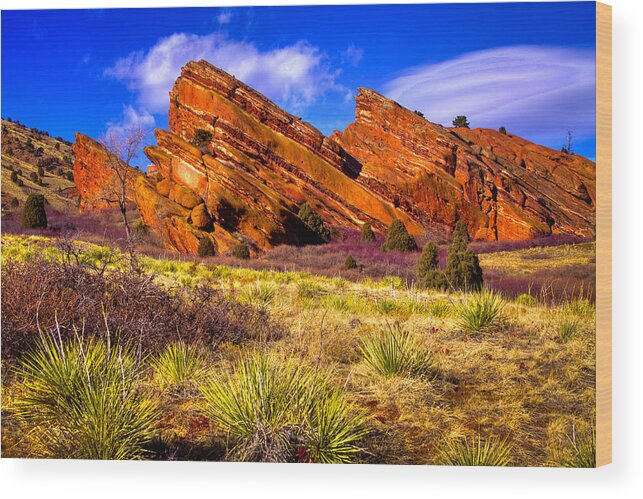 Red Rocks Wood Print featuring the photograph The Red Rock Park VI by David Patterson