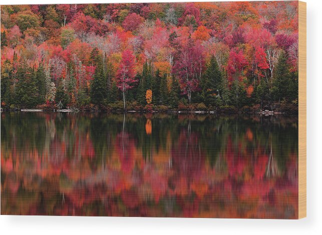 Fall Wood Print featuring the photograph The Reflection by Tim Kirchoff