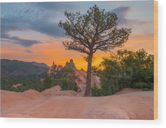 Garden Of The Gods Wood Print featuring the photograph The Rising Sun by Tim Reaves