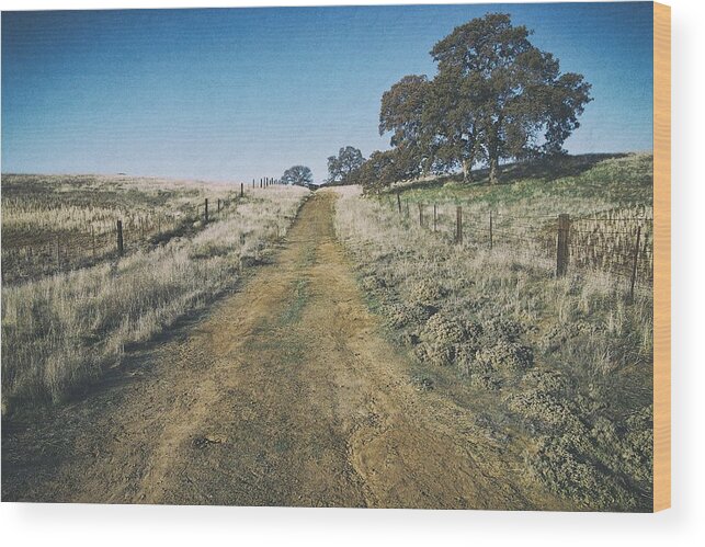 Fog Wood Print featuring the photograph The Road by Robin Mayoff