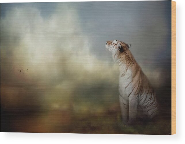 Jai Johnson Wood Print featuring the photograph The Scent Of The Storm by Jai Johnson