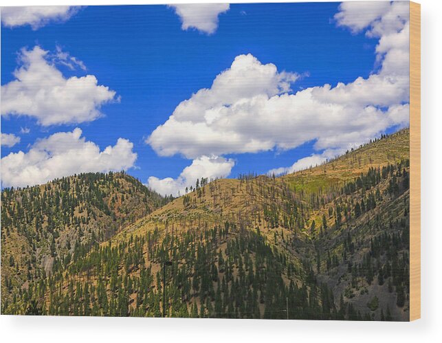 Mountains Wood Print featuring the photograph The Silver Valley in Idaho by Chris Smith