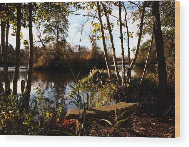 Lake Wood Print featuring the photograph The Sitting Place by Christopher J Kirby