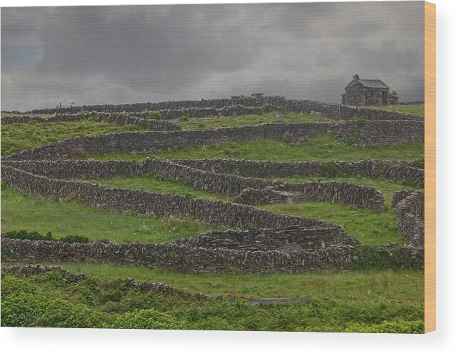 Innis Oirr Wood Print featuring the photograph The Stone Walls of Innisheer by Teresa Wilson