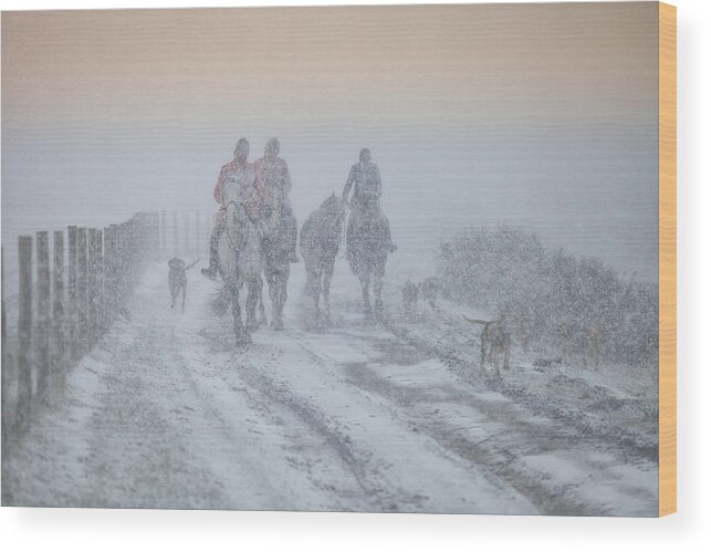 Animals Wood Print featuring the photograph The Storm Cometh by Mark Egerton