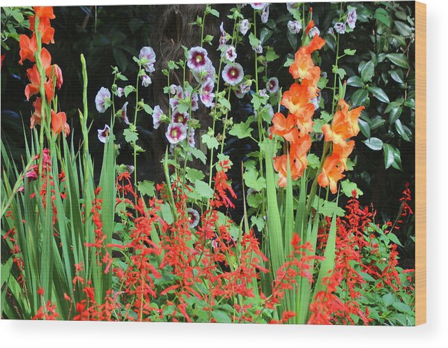 Plant Wood Print featuring the photograph The Summer Garden by Dora Sofia Caputo