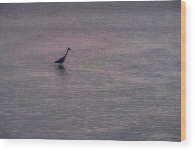 Water Wood Print featuring the photograph The Texture of Water, With Blue Heron at Sunrise by Mitch Spence