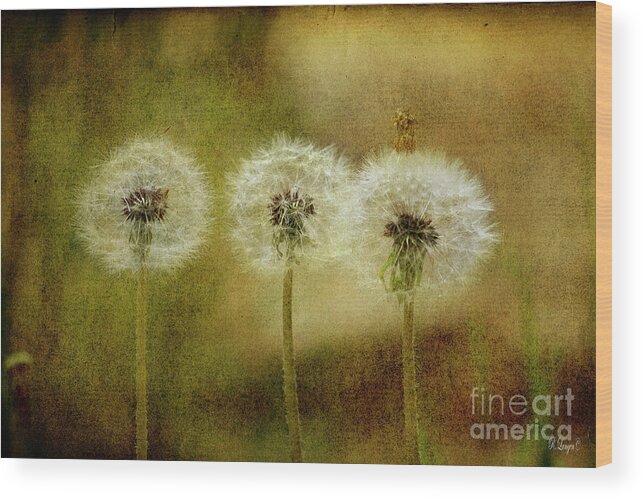 Flowers Wood Print featuring the digital art The Three by Rebecca Langen