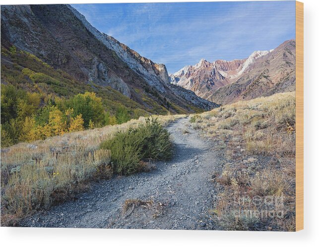 Eastern Sierra Wood Print featuring the photograph The Trail To McGee Creek by Mimi Ditchie
