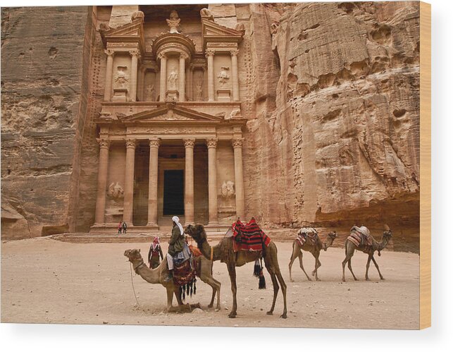 Middle East Wood Print featuring the photograph The Treasury of Petra by Michele Burgess