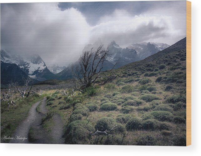 Wind Wood Print featuring the photograph The Tree in the Wind by Andrew Matwijec