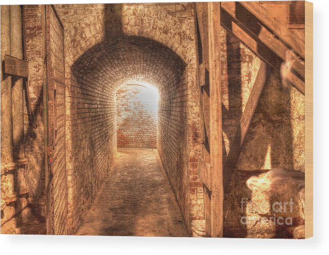 Biddeford Wood Print featuring the photograph The tunnel by David Bishop