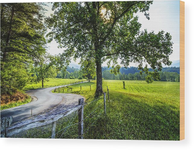 Appalachia Wood Print featuring the photograph The Valley at Cades Cove by Debra and Dave Vanderlaan