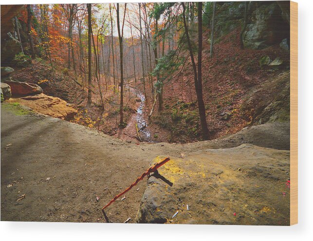 Hocking Hills State Park Wood Print featuring the photograph The View from Above by Stacie Siemsen