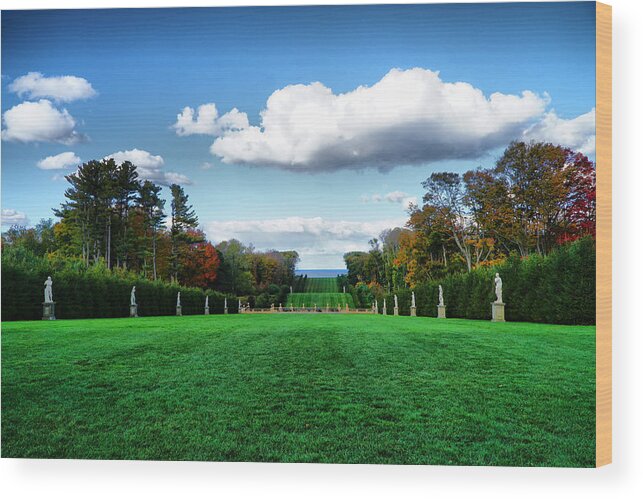 The View Wood Print featuring the photograph The View from Castle Hill backyard by Lilia S