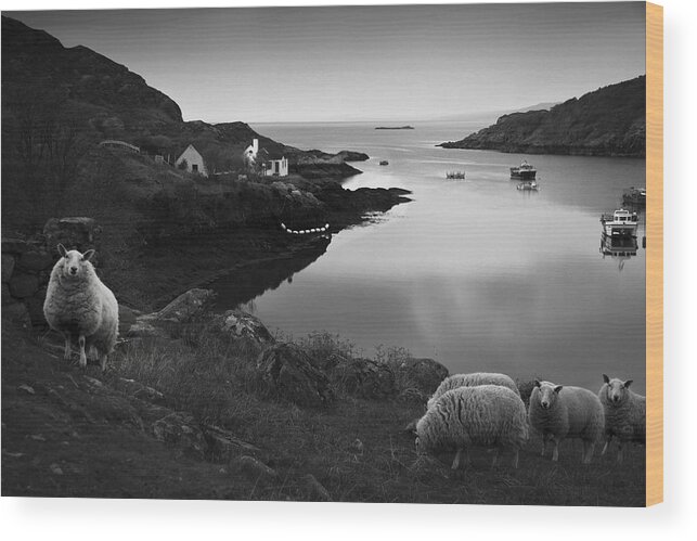 Applecross Peninsula Wood Print featuring the photograph The Village by Dorit Fuhg