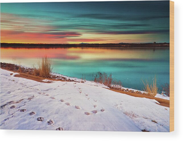 Cherry Creek State Park Wood Print featuring the photograph The Visitors by John De Bord