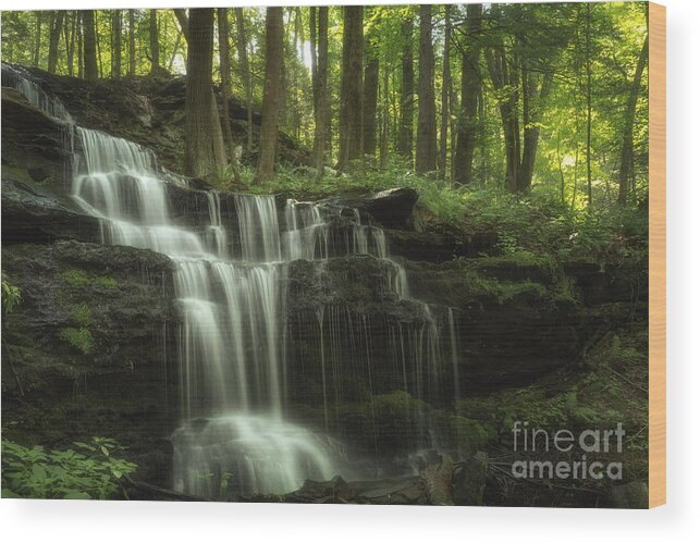 Fine Art Photogaphy Prints For Sale By Mary Lou Chmura Wood Print featuring the photograph The Waterfall In The Forest by Mary Lou Chmura