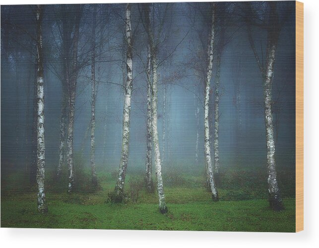 Forest Wood Print featuring the photograph The White Stripes by Mikel Martinez de Osaba