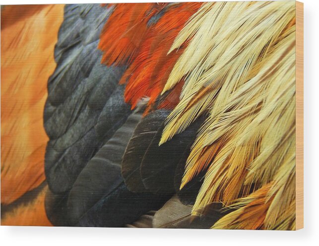 Rooster Wood Print featuring the photograph The Wild Rooster by Jan Gelders
