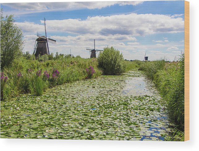 Kinderdijk Wood Print featuring the photograph The Windmills of Kinderdijk in the Netherlands by Venetia Featherstone-Witty