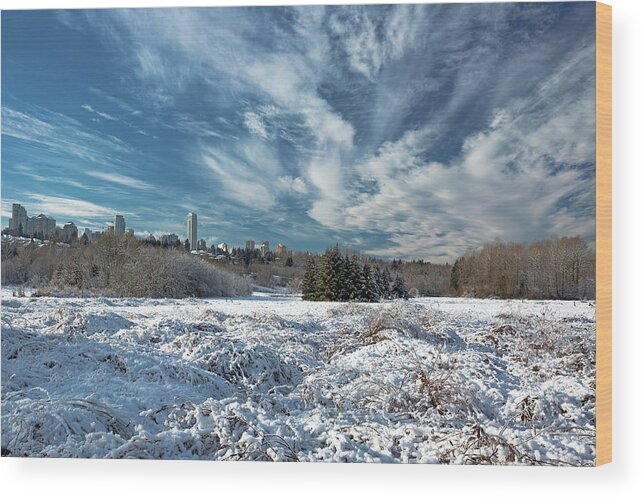 Alex Lyubar Wood Print featuring the photograph The Winter Landscape by Alex Lyubar