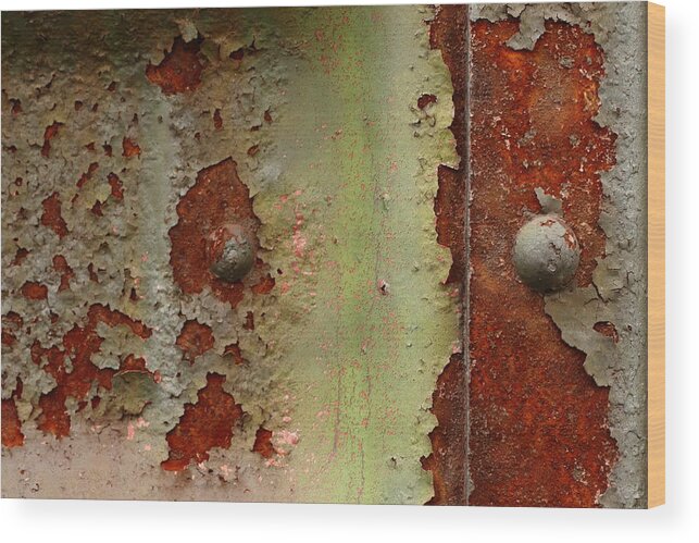 Rust Wood Print featuring the photograph The Worried Elephant by Kreddible Trout