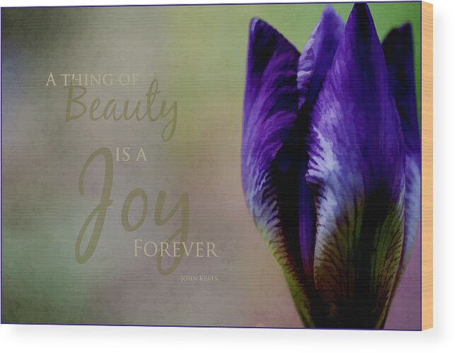 Inspirational Wood Print featuring the photograph Thing of Beauty by Bonnie Bruno